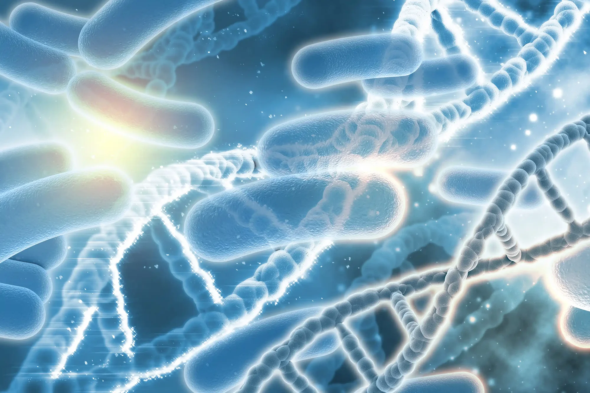 Microbiome Study
